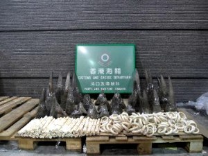 Rhino horn bust, Hong Kong Customs