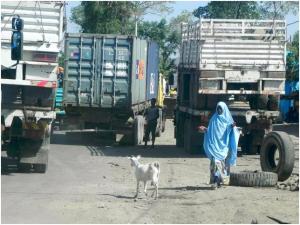 Ethiopian road transport