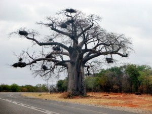 Beit Bridge_Snapseed