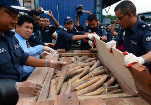 Malaysian Customs officers uncovered illegal ivory concealed within secret compartments in a shipment. (Getty Images)