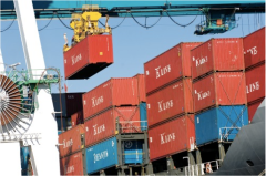 The fluid transition from sea to land