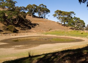 The supply of proven port executives is drying up. Credit: Off beat Mum