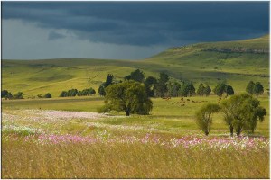 Harrismith, Free State, South Africa