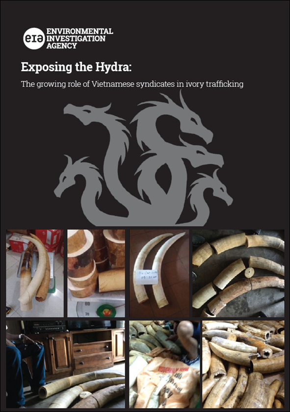 Exposing the Hydra - Ivory